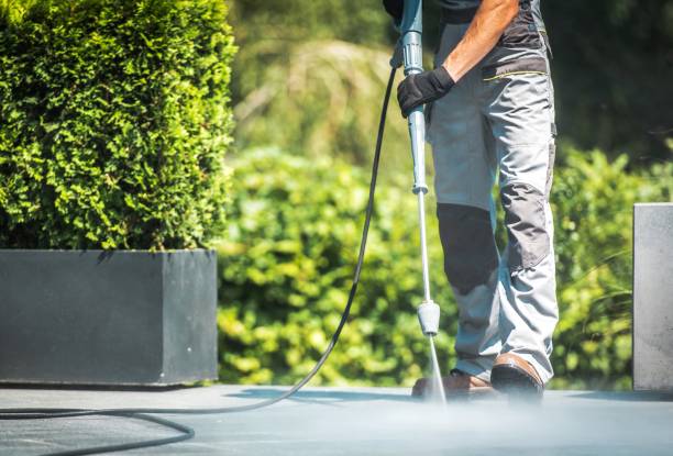 Best Graffiti Removal Services in Erath, LA